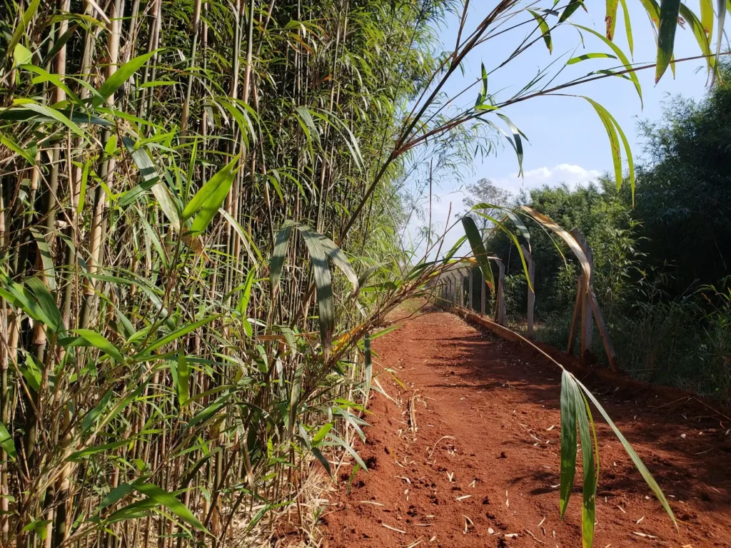 garupa misiones historia