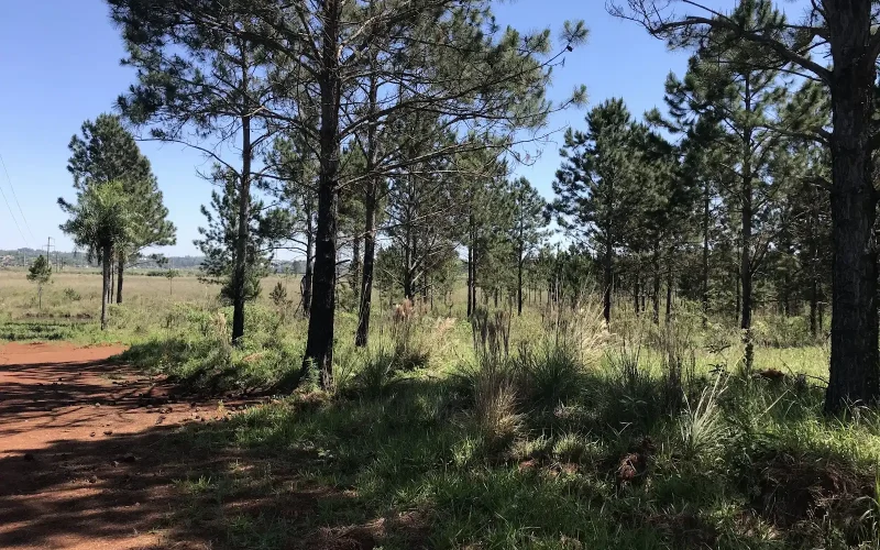 Área de Reserva Ambiental Zaimán